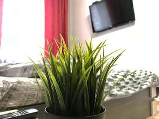 Апартаменты Modern Red Apartment Львов Апартаменты с 1 спальней-22